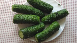 МАЛОСОЛЬНЫЕ ОГУРЧИКИ