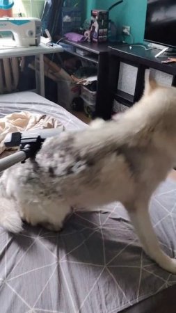 Утро начинается не с кофе 🤣