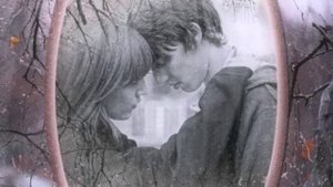 Елена Ваенга -Мы попали с тобой под дождь