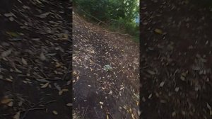 VID_20250628_145234.mp4