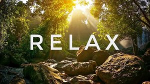 Релакс-видео. Море. Музыка Chillout Ambient. 🌊🌊🌊