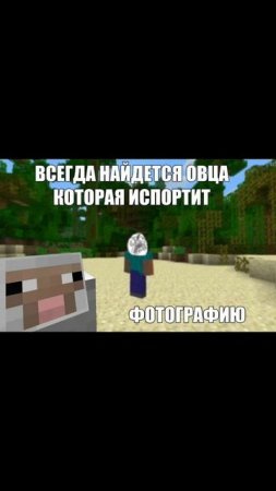 scene_output.mp4