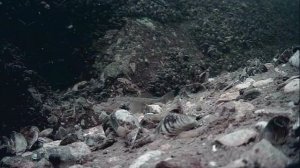 1000046829.mp4Волга гл.5м.21.07.2025г.