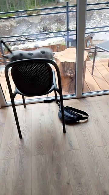 пушистый акробат смотреть онлайн