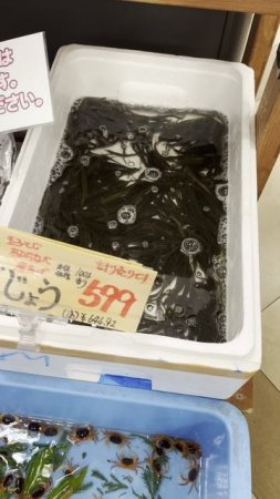 Свежесть морепродуктов в Японии