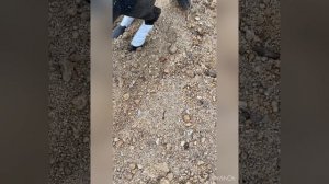 7 часть сериала ‘Секрет новенького ‘🐎