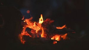 Камин костер заставка на телевизор звук костра
