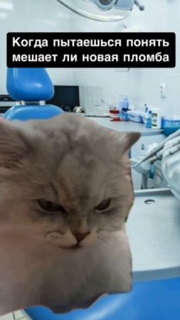 Стоматологическое