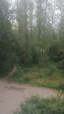 После грозы несутся