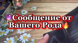 Сообщение от Рода🔮Таро