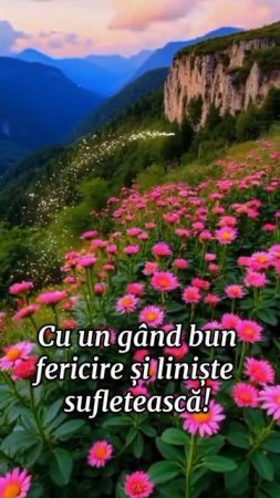 🔴 Buna dimineata!!! 🌞☕🍒🍓🍒🍉🍇🍰❤️🌹💞 #bunadimineta #100k #100viral #доброеутро #всемдобра
