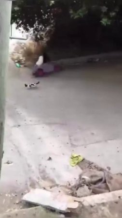 Бедный котик 🤣