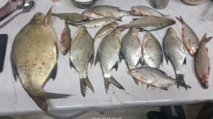 рыбалка на полудонку