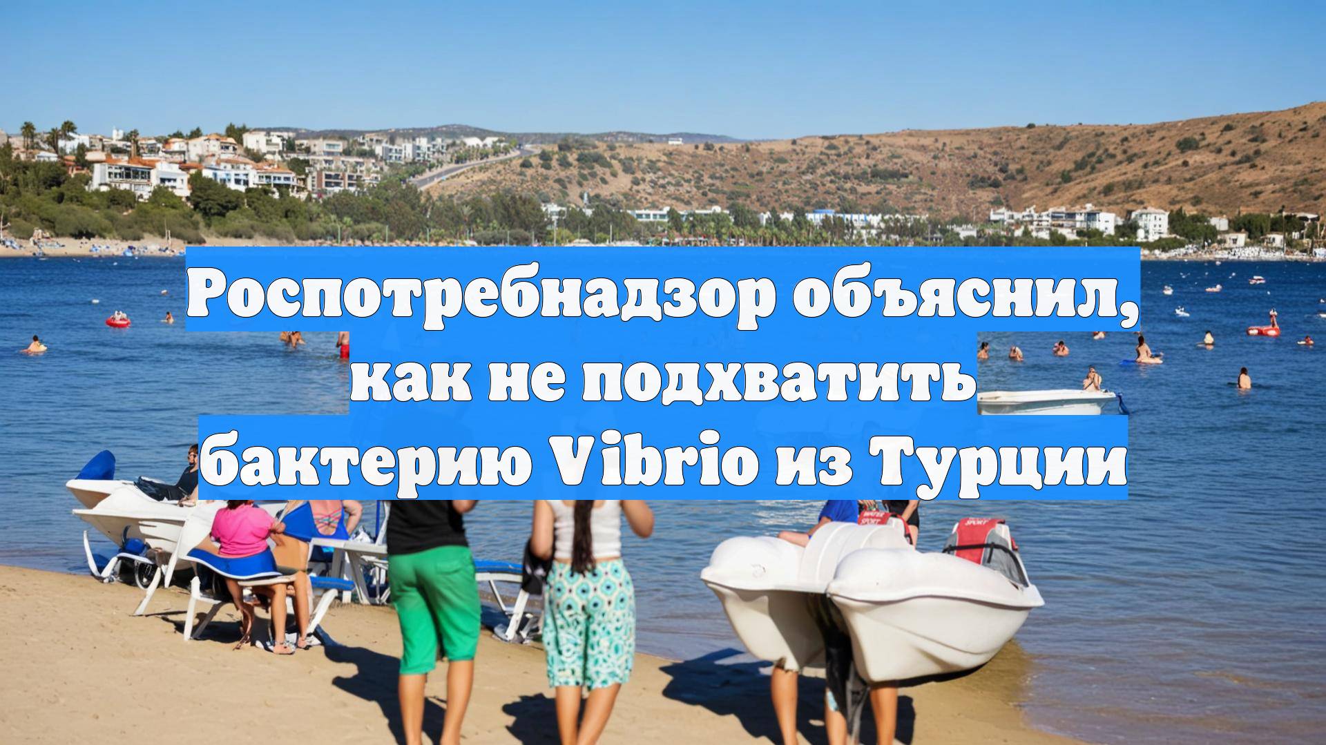 Роспотребнадзор объяснил, как не подхватить бактерию Vibrio из Турции