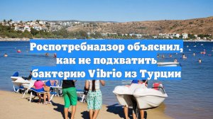 Роспотребнадзор объяснил, как не подхватить бактерию Vibrio из Турции