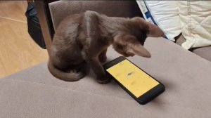 VID-20250621-WA0002.mp4