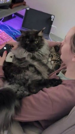 Выходные, о которых мечтает каждый