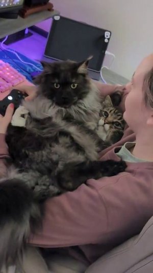 Выходные, о которых мечтает каждый