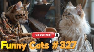 Смешные коты #327
