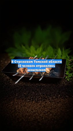 В Стрежевом Томской области 12 человек отравились шашлыком