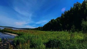 20 июля 2025 г.