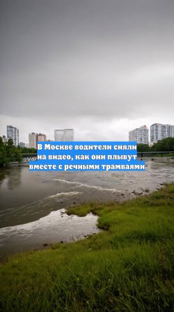 В Москве водители сняли на видео, как они плывут вместе с речными трамваями