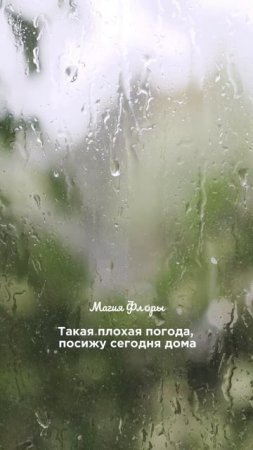 Есть поводы, ради которых можно выйти из дома даже в ураган 😄🥰