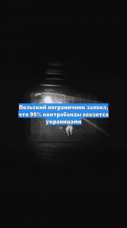 Польский пограничник заявил, что 95% контрабанды ввозится украинцами