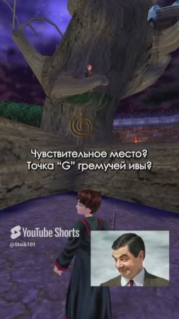 Точка G гремучей ивы #harrypotter #101