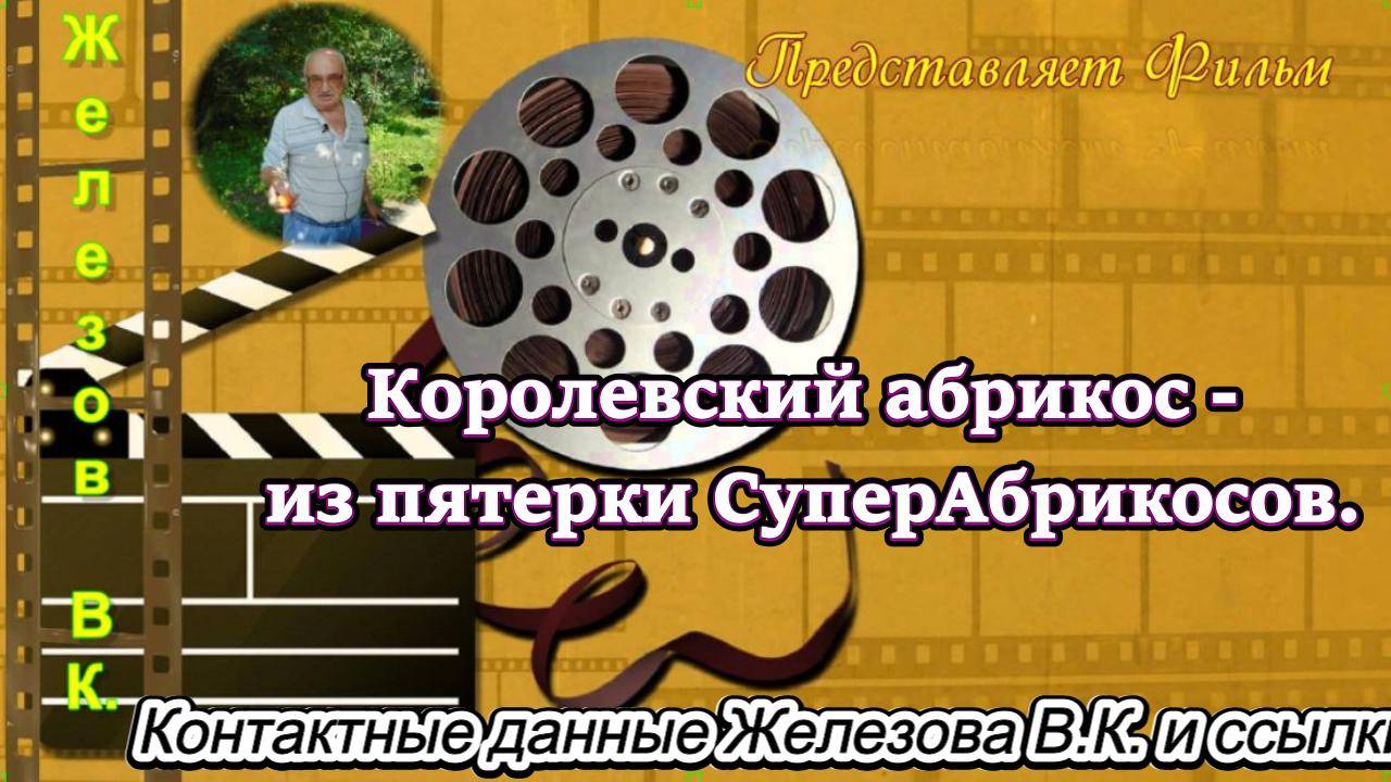 Королевский абрикос - из пятерки СуперАбрикосов.