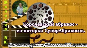Королевский абрикос - из пятерки СуперАбрикосов.