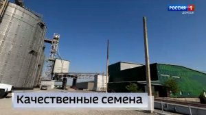 В ДНР, ЛНР, Запорожской и Херсонской областях началась регистрация семеноводческих хозяйств
