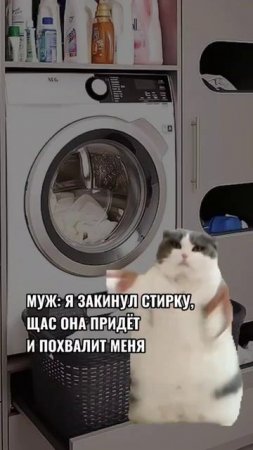 #shorts #приколы #академияюмора #смех