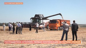 Ущерб донских аграриев из-за аномальной погоды оценивается в 7 млрд 800 млн рублей