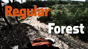 Обычный лес