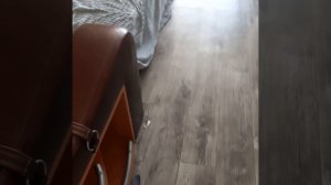 вы кто такие