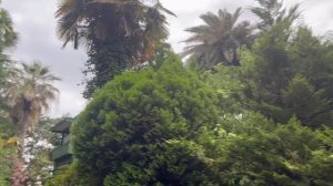 красота юга России