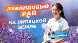 Лавандовый рай на Липецкой земле