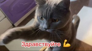 подготовка с тренером день 59