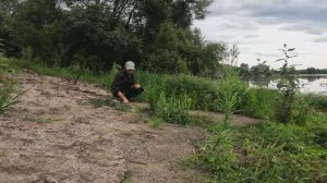 РЫБАЛКА НА ПОПЛАВОЧНУЮ УДОЧКУ МЕТАЛЛОПОИСК У РЕКИ СБОР КЛУБНИКИ НА РЫБАЛКЕ