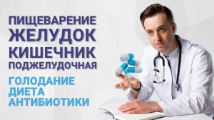 Пищеварение. Желудок, кишечник, поджелудочная железа. Голодание, диета, антибиотики