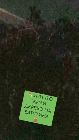 уничтожили дерево 🌲 на Ватутина 🪓🪵