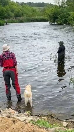 Сколько нужно СМ чтобы победить?! Репортаж с рыболовных соревнований!  #norstream #fishing #рыбалка