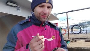 Пробуем морских животных. Гребешки
