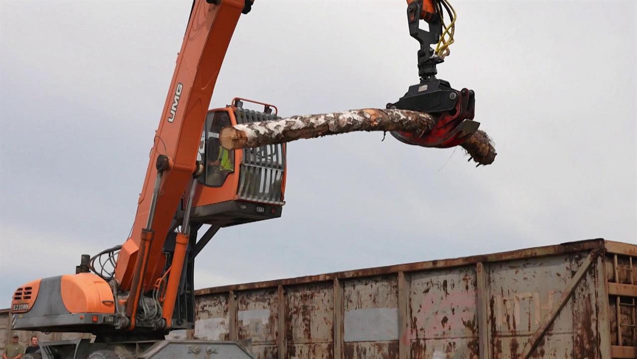 ЛДПР отправила в зону СВО 12 вагонов с лесоматериалом