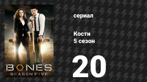 Кости 5 сезон 20 серия «Ведьма в шкафу» (сериал, 2009)