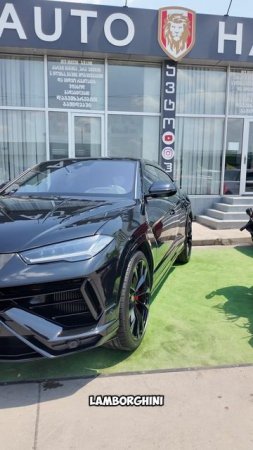 Итальянский жеребец Lamborghini Urus на Дубайской лужайке в Грузии!