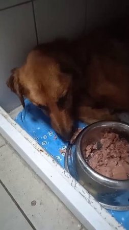 Рыжуля нас очень радует
