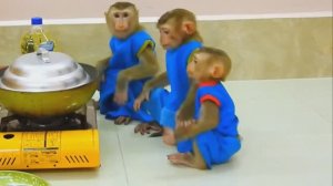 Обезьянки готовят ПОПКОРН Помогают мамочке СМЕШНЫЕ ЗАБАВНЫЕ ДЕТКИ