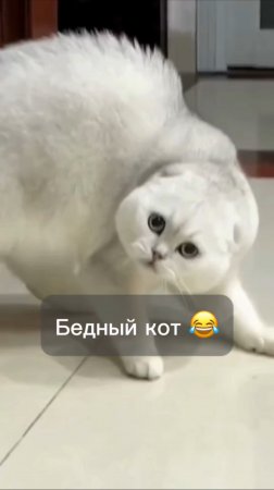 Ох уж эти советы психологов🤪😅
